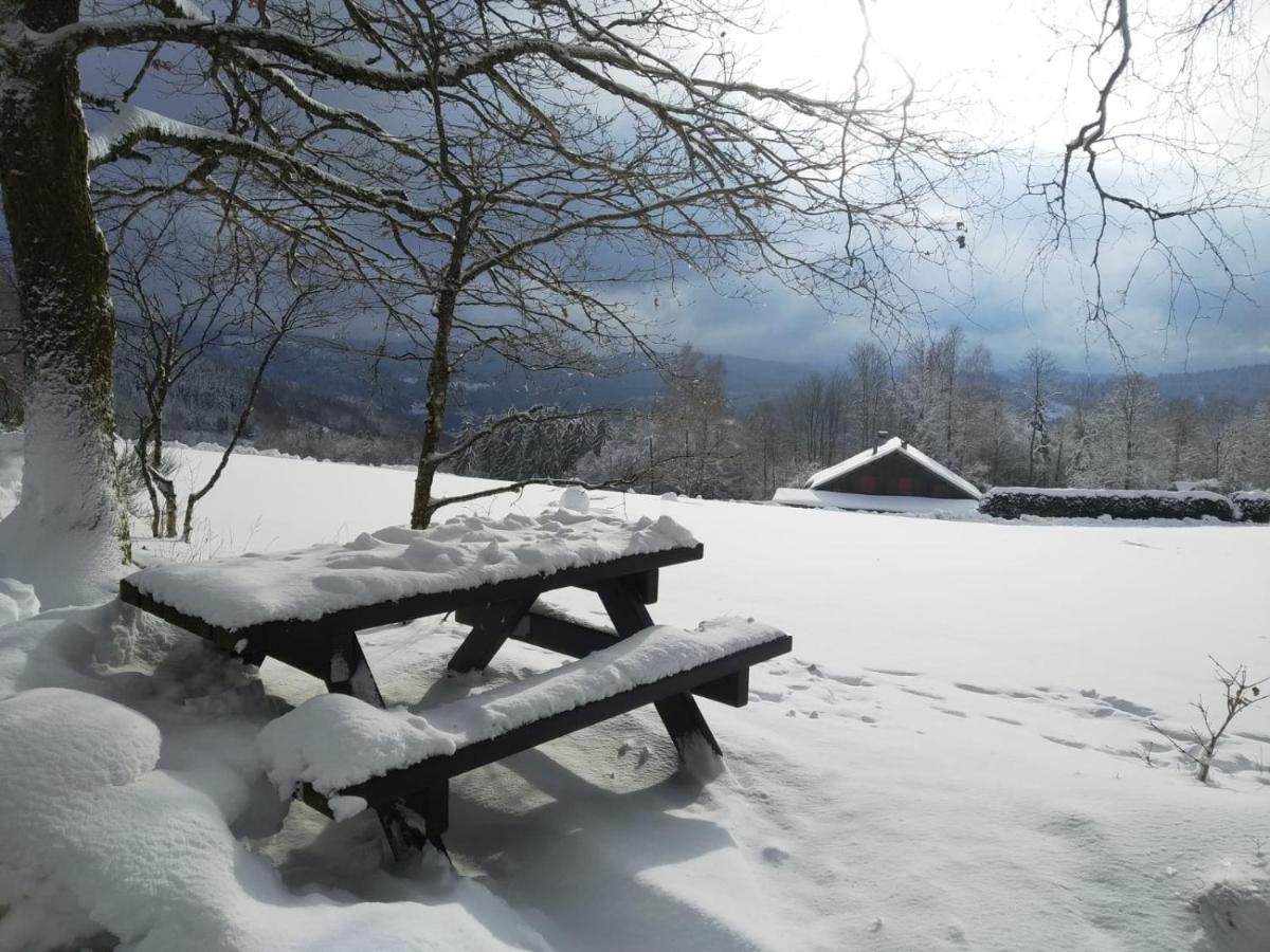 Chalet Individuel - Panoramique Montagnes & Proche Lac La Bresse Zewnętrze zdjęcie
